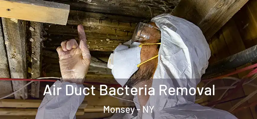  Air Duct Bacteria Removal Monsey - NY