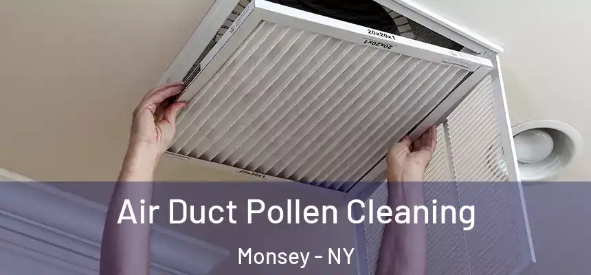  Air Duct Pollen Cleaning Monsey - NY