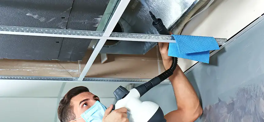 Our Air Duct Rodent Removal Services in Monsey, NY