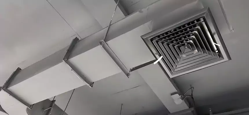 Restorative Allergy Relief Vent Cleaning – Coil, Blower & Housing Detail in Monsey