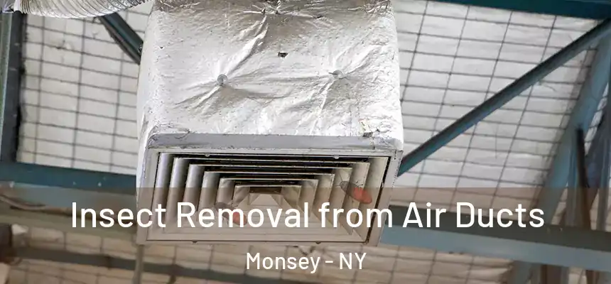  Insect Removal from Air Ducts Monsey - NY