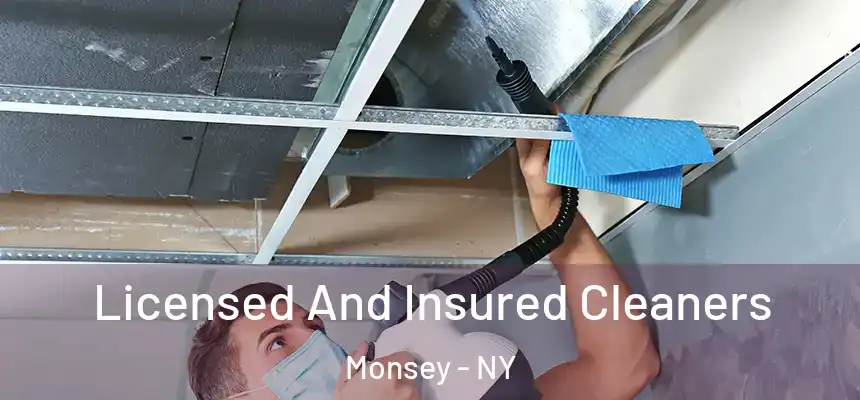  Licensed And Insured Cleaners Monsey - NY