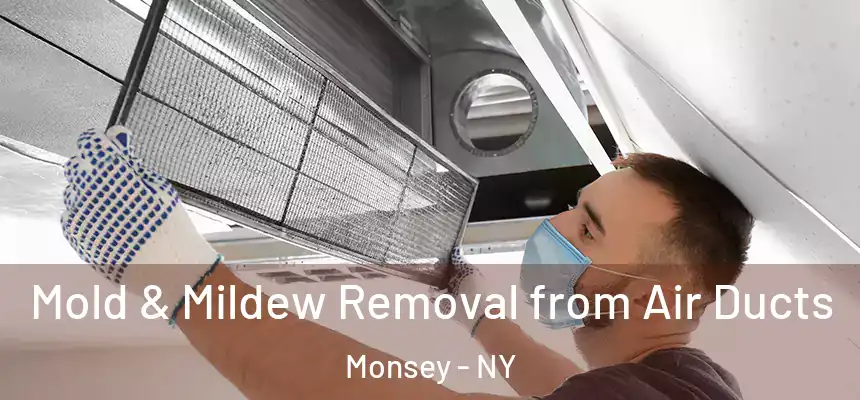  Mold & Mildew Removal from Air Ducts Monsey - NY