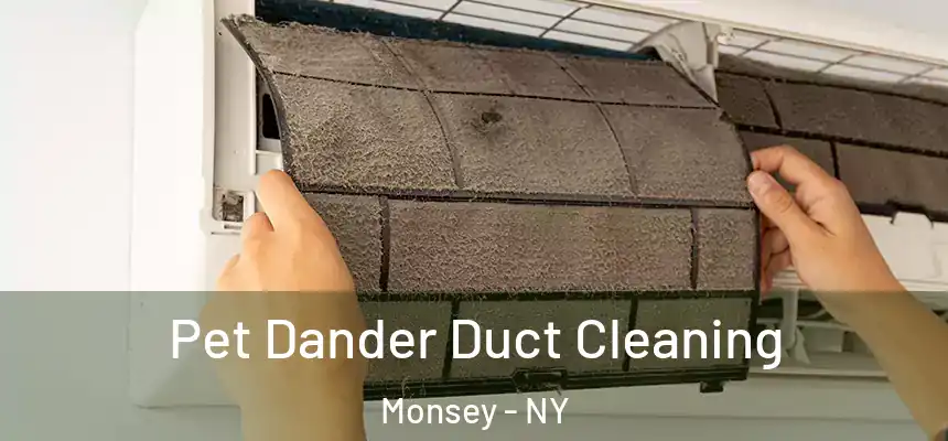  Pet Dander Duct Cleaning Monsey - NY