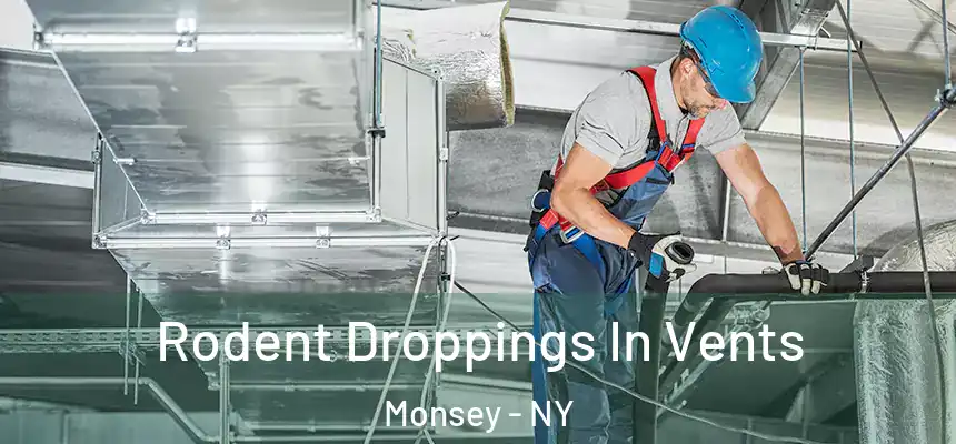  Rodent Droppings In Vents Monsey - NY