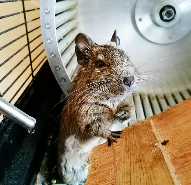 Why Homeowners & Businesses Trust Us Monsey, NY